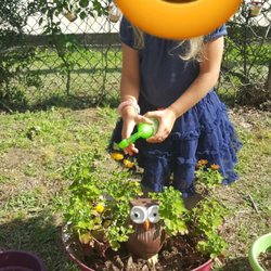 Springwood Montessori