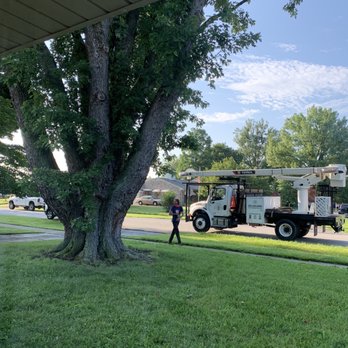 Limbwalker Tree Service - Time for a trim - Tree Services Near Me - Louisville, Kentucky