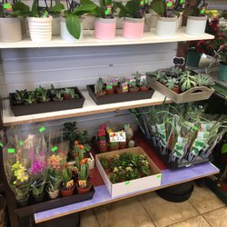 Bloor & Kennedy Flower Shop