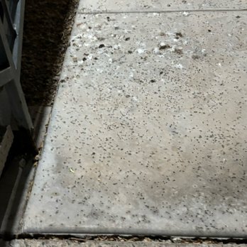 Heritage at Deer Valley - Bird Feces - Apartments Near Me - Phoenix, Arizona