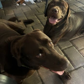 Uncle Pawpaw - Pet Groomers Near Me