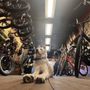 Photo of Harborside Cycle & Sport
