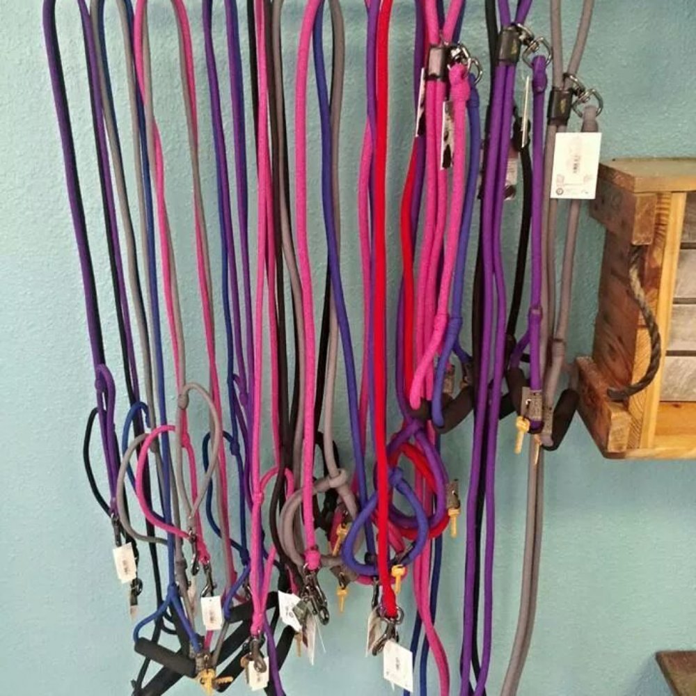 Dog Day Afternoon - Pet Groomers Near Me - Mascoutah, Illinois