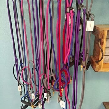 Dog Day Afternoon - Pet Groomers Near Me - Mascoutah, Illinois