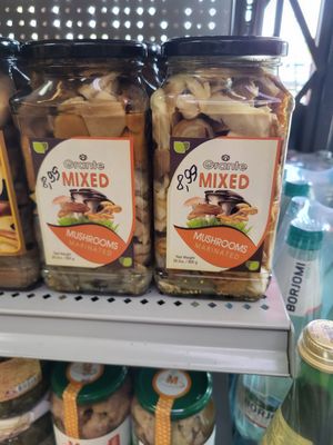 Russian Home by null