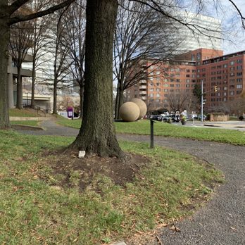 Dark Star Park - Parks Near Me - Arlington, Virginia Dark Star Park - Parks Near Me - Arlington, Virginia