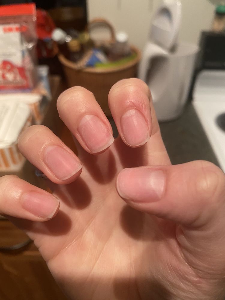 BARLA NAILS Updated August 2024 12 Photos 193 River Rd, Jewett