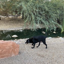 Butterfly, reserve, rabbits, turtles, ducks, birds, gorgeous, scenery, and Kiara loves it
