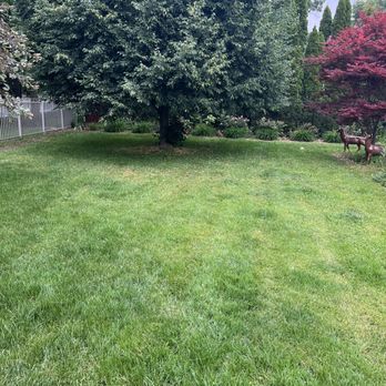 Organic Parasite Services - Organic lawn is thicker and greener in droughts. - Pest Control Near Me
