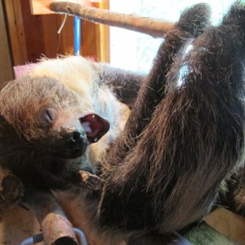 Wildlife Learning Center - Zoos Near Me - Sylmar, California