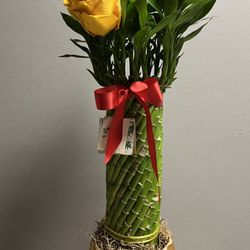 Chinese New Year gift