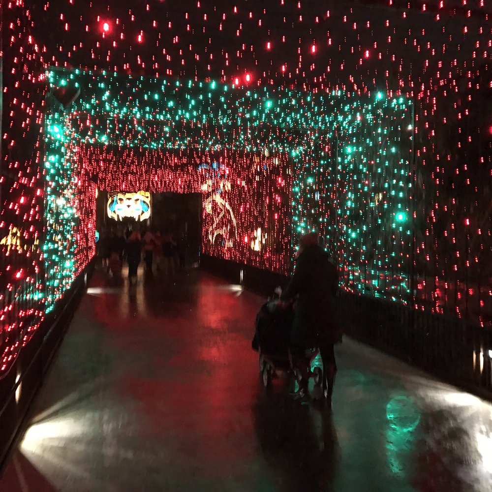 Zoo Lights - Festivals Near Me - Salt Lake City, Utah Zoo Lights - Festivals Near Me - Salt Lake City, Utah