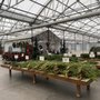 Photo of The Garden Factory