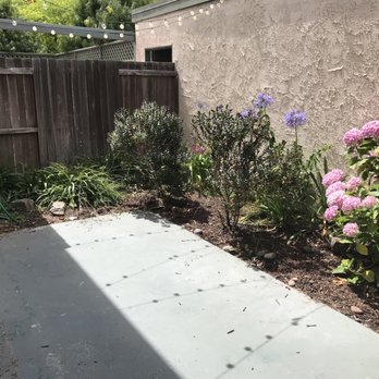 Turf Solutions - Before - Artificial Turf Near Me Turf Solutions - Before - Artificial Turf Near Me