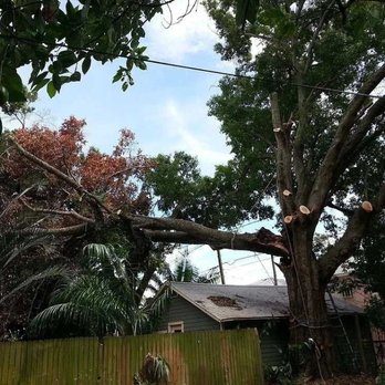 Valid Impressions Tree Service - Tree Services Near Me Valid Impressions Tree Service - Tree Services Near Me