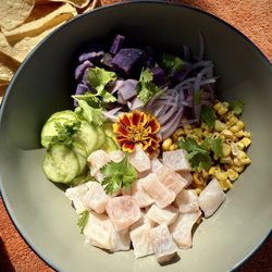 Shipwreck Bar & Sushi - Ceviche So good and fresh.