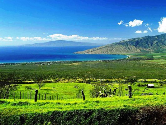 The Maui Island Day Tour - See the best of Maui on our Island Day Tour. Check out all the best places and venues from the world's best beaches to historic towns to tropical plantations, arboretums, coffee farms, pineapple farms, the lavender gardens, see it all on your own private tour of Maui. Because our tours are completely private you get to pick and choose which locations and activities sound fun for you and which you'd rather pass up on. You get to customize the day to your interests and abilities. This is a great tour for your first day in Maui to learn what's here and where it all is. Just jump in and leave the driving to us. It's your day, have it your way! Tour starts at 7 or 8 am and ends at 4 or 5 pm and costs $700 for the first two people and an additional $100 for each person after that. The Maui Island Day Tour - See the best of Maui on our Island Day Tour. Check out all the best places and venues from the world's best beaches to historic towns to tropical plantations, arboretums, coffee farms, pineapple farms, the lavender gardens, see it all on your own private tour of Maui. Because our tours are completely private you get to pick and choose which locations and activities sound fun for you and which you'd rather pass up on. You get to customize the day to your interests and abilities. This is a great tour for your first day in Maui to learn what's here and where it all is. Just jump in and leave the driving to us. It's your day, have it your way! Tour starts at 7 or 8 am and ends at 4 or 5 pm and costs $700 for the first two people and an additional $100 for each person after that.