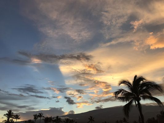 Menehune Shores Condominium by null