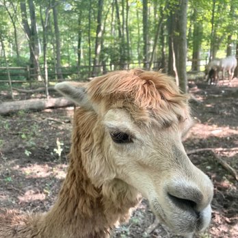 Wild Kid Acres - Attraction Farms Near Me - Edgewater, Maryland