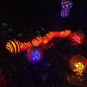 Jack's Pumpkin Glow - Monarch caterpillar! So cute. - Festivals Near Me - Lisle, Illinois