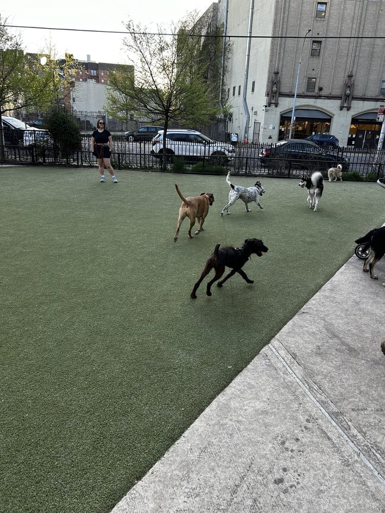 Kensington Dog Run