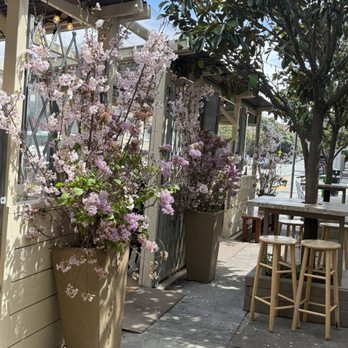 Lavash - Outdoor dining room - Persian/Iranian Near Me - San Francisco, California Lavash - Outdoor dining room - Persian/Iranian Near Me - San Francisco, California