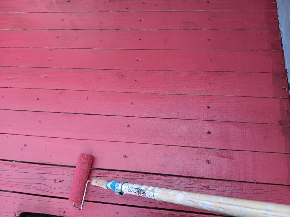 Slide of Pakmarica Painters Florida