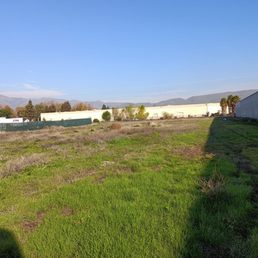 Carlos went thru this field to reach the truck