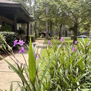 Alabama Rest Area - Rest Stops Near Me - Florala, Alabama