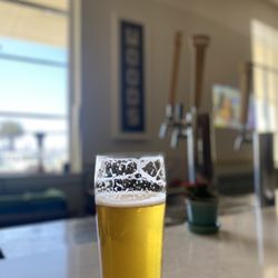 Woods Island Club - IPA