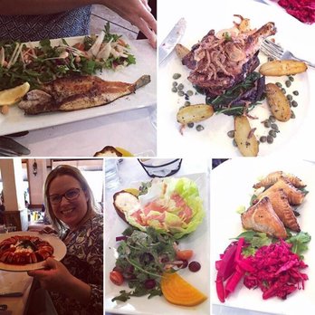 Urfa Bistro - Clockwise from top L: branzino seabass / game hen / spanakopita / side salad / a tasty meat + yogurt + phyllo ring I forgot the name of - Mediterranean Near Me - Los Altos, California Urfa Bistro - Clockwise from top L: branzino seabass / game hen / spanakopita / side salad / a tasty meat + yogurt + phyllo ring I forgot the name of - Mediterranean Near Me - Los Altos, California