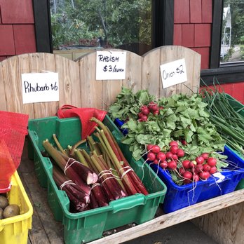Saskatoon Farm - Fresh seasonal items - Farmers Market Near Me - De Winton, Alberta