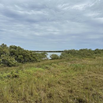 Anastasia State Park - Landscape - Parks Near Me - Saint Augustine, Florida