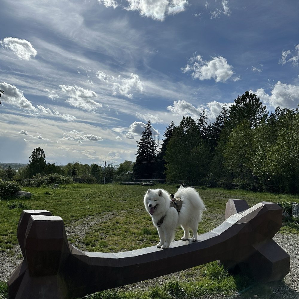 Taylor Park - Nice sculpture in the park - Parks Near Me - Burnaby, British Columbia Taylor Park - Nice sculpture in the park - Parks Near Me - Burnaby, British Columbia