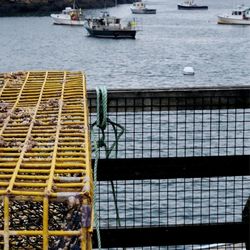 Five Islands Lobster - Lobster traps