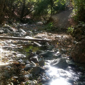Moore Creek Park - Another creek crossing on the Moore Creek Trail. - Parks Near Me - Saint Helena, California Moore Creek Park - Another creek crossing on the Moore Creek Trail. - Parks Near Me - Saint Helena, California