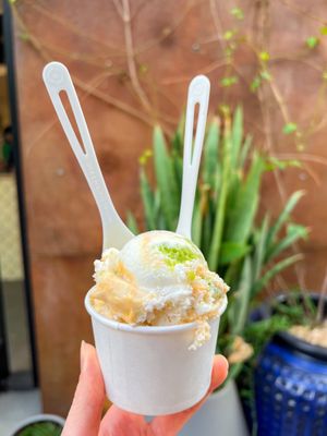 Van Leeuwen Ice Cream by null