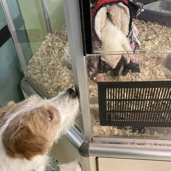 Everything for Pets - Pet Stores Near Me - Northwood, Ohio