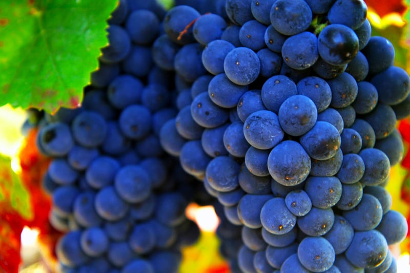 We Drive You Tuscany