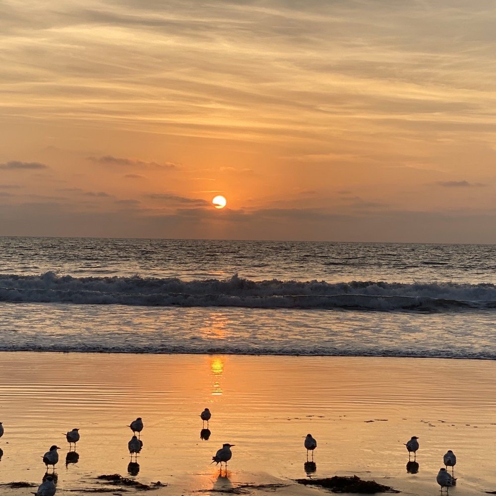 Manhattan Beach - LA sunset - Beaches Near Me - Manhattan Beach, California Manhattan Beach - LA sunset - Beaches Near Me - Manhattan Beach, California