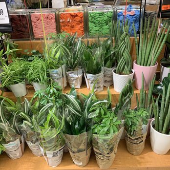 Giant - Grocery Near Me - Bethesda, Maryland