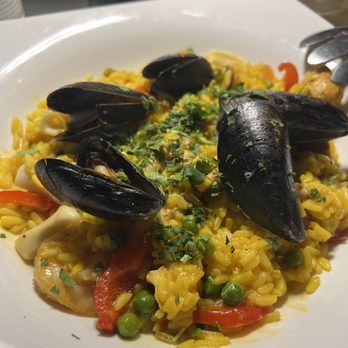 Medi Terra - Paella - Mediterranean Near Me - Boca Raton, Florida Medi Terra - Paella - Mediterranean Near Me - Boca Raton, Florida
