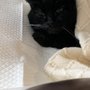 Photo of Woodside Animal Hospital