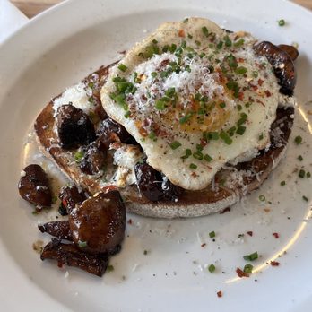 Saint James Espresso Bar & Eatery - Mushroom with goat cheese and fried egg open face sourdough toast - Cafes Near Me - Hamilton, Ontario Saint James Espresso Bar & Eatery - Mushroom with goat cheese and fried egg open face sourdough toast - Cafes Near Me - Hamilton, Ontario