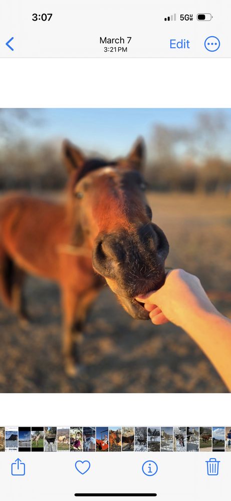 Lucky Creek Ranch - equestrian in Kamas, UT