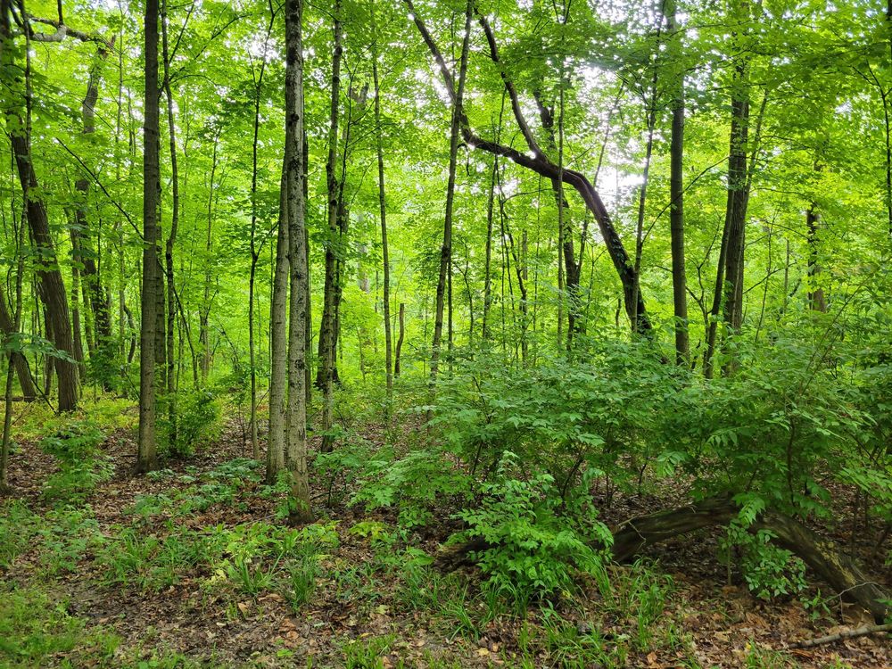 TANAGER WOODS PARK 3781 Mt Hood Ct, Columbus, OH Yelp