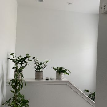 MC’S Painting - Painters Near Me