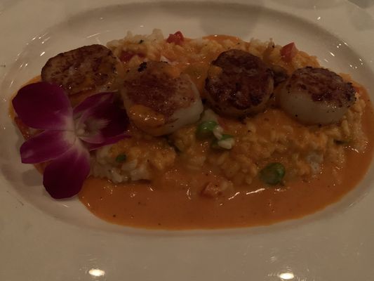 Butterfly Café by null