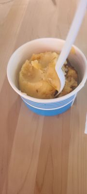 Deep Sea Vegan by null