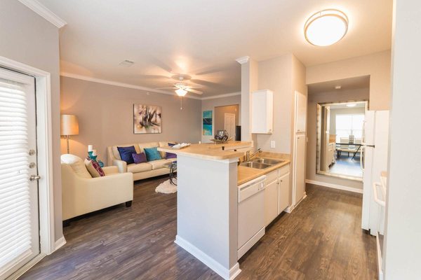 vue live oak vue live oak